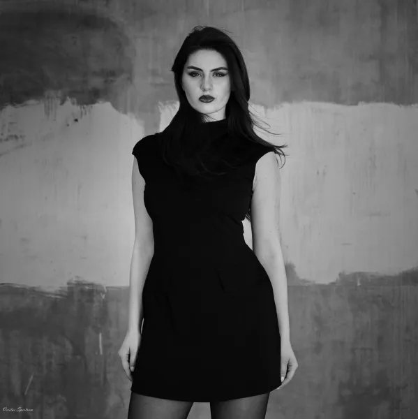 პუბლიკაცია ლუქსიაში